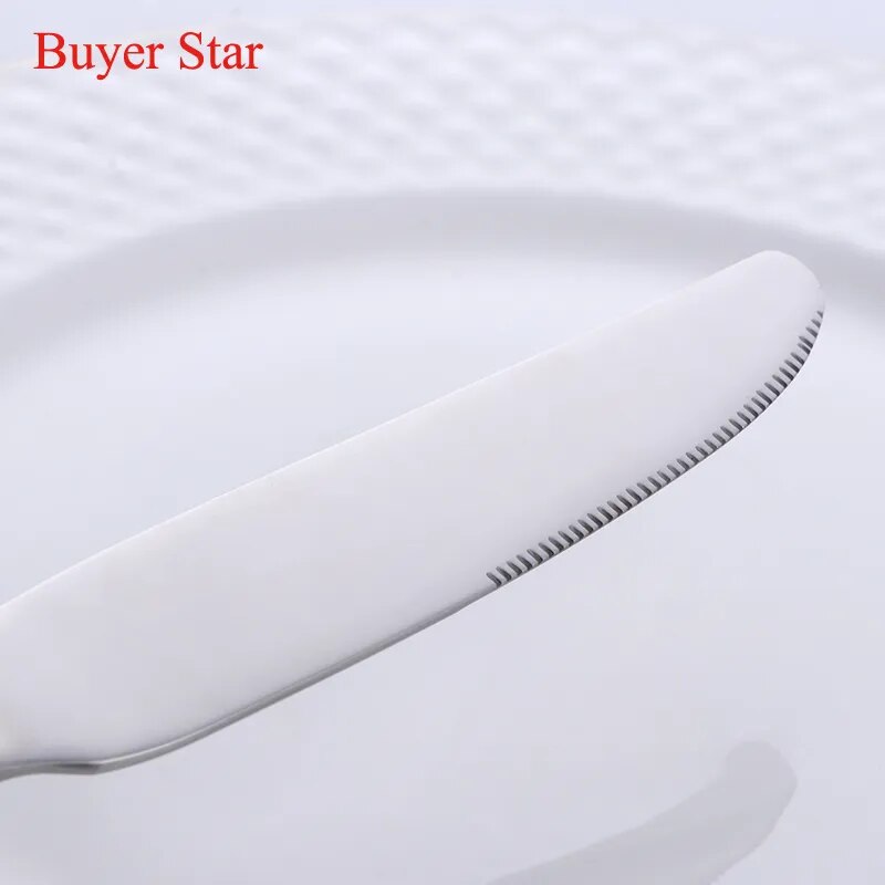 Dinnerware Set Stainless Steel Spoon Fork Knife Cutlery Dinner Camping Kitchen Metal Tableware