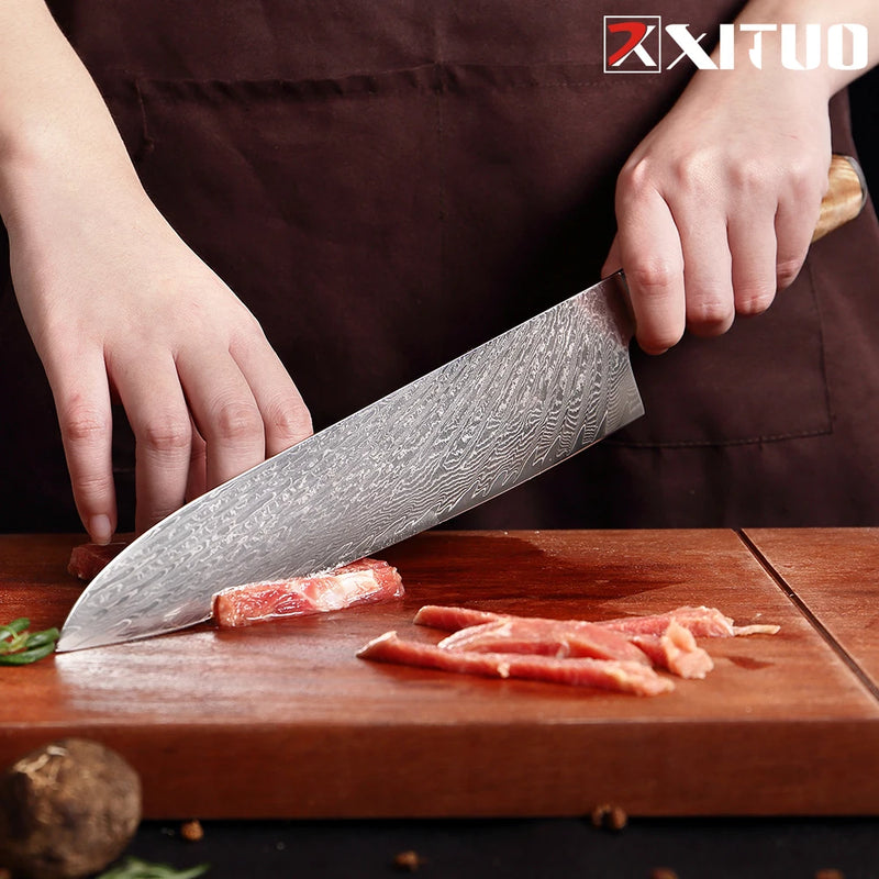 Chef Knife 9 Inch Damascus Kitchen Chef Knife Super Steel 67-Layer Damascus Knife Razor Sharp