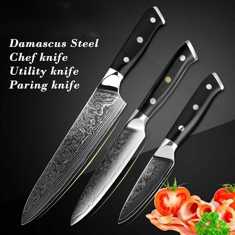 3 Pcs Utility Kitchen Knife Set High Quality 67 Layer VG10 Damascus Steel Tool Gift