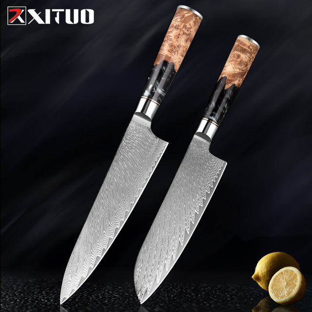 2-4 PCS Damascus Steel Kitchen Knives Chef Vegetable Slicing Deboning Black Resin Handle