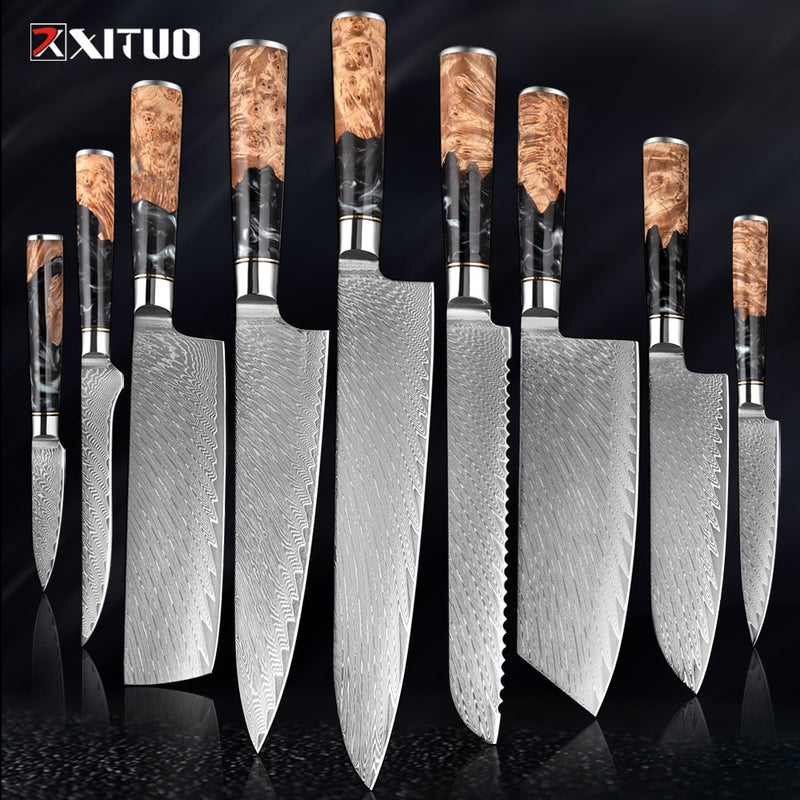 2-4 PCS Damascus Steel Kitchen Knives Chef Vegetable Slicing Deboning Black Resin Handle