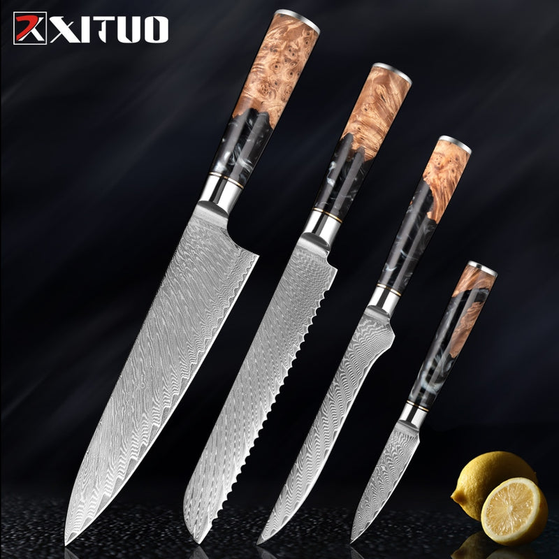 2-4 PCS Damascus Steel Kitchen Knives Chef Vegetable Slicing Deboning Black Resin Handle