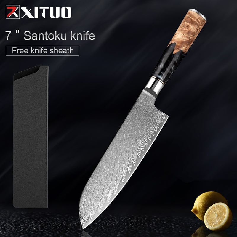 2-4 PCS Damascus Steel Kitchen Knives Chef Vegetable Slicing Deboning Black Resin Handle