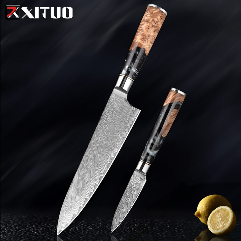 2-4 PCS Damascus Steel Kitchen Knives Chef Vegetable Slicing Deboning Black Resin Handle