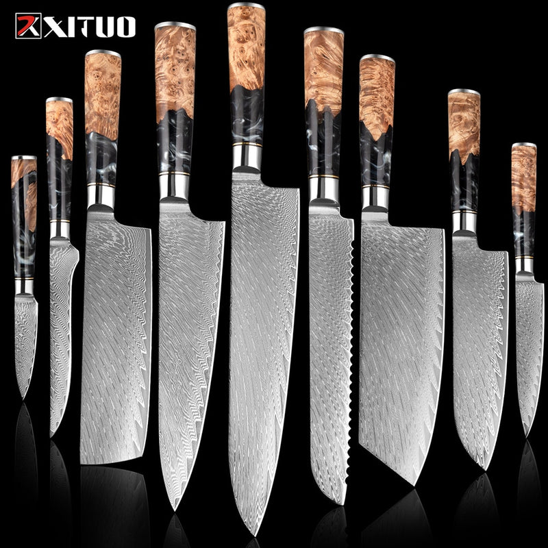 2-4 PCS Damascus Steel Kitchen Knives Chef Vegetable Slicing Deboning Black Resin Handle