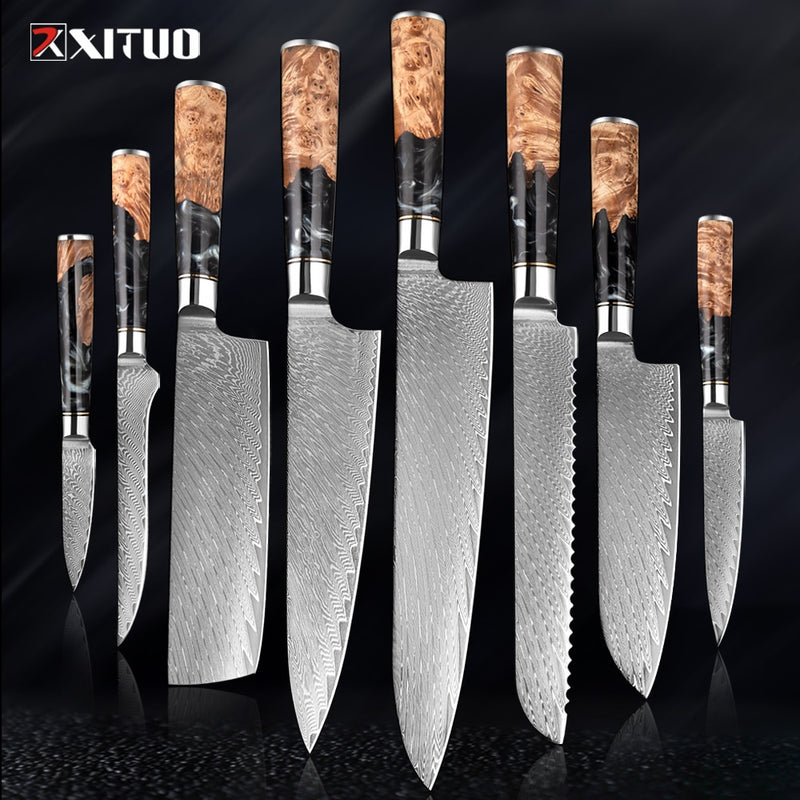 2-4 PCS Damascus Steel Kitchen Knives Chef Vegetable Slicing Deboning Black Resin Handle