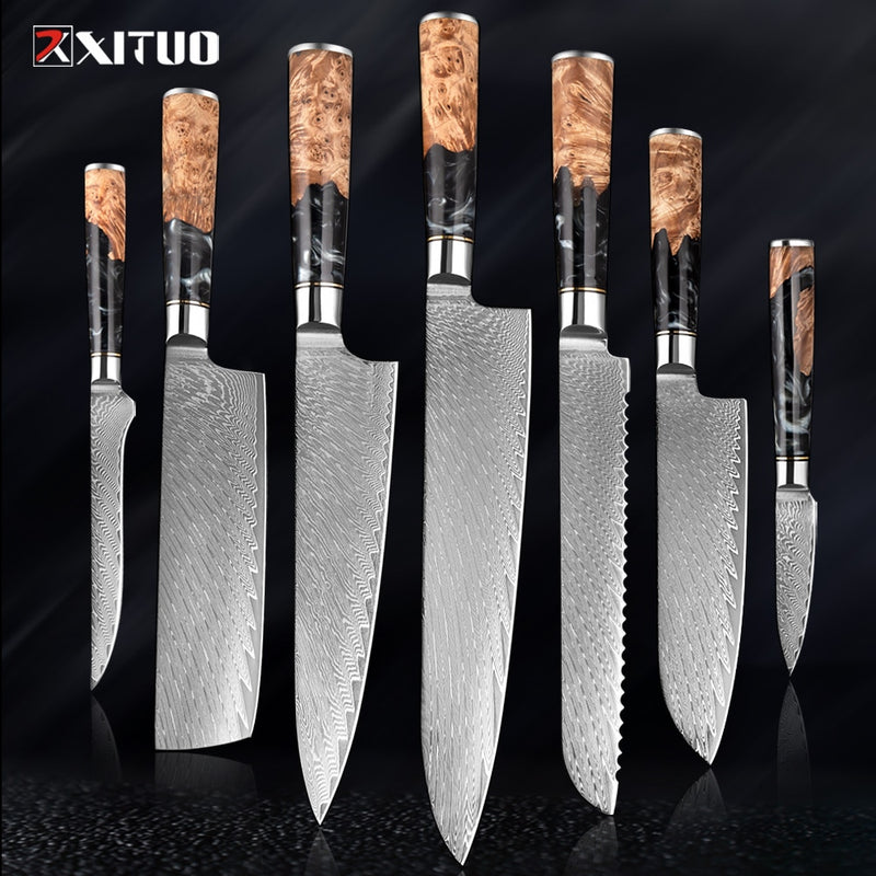 2-4 PCS Damascus Steel Kitchen Knives Chef Vegetable Slicing Deboning Black Resin Handle