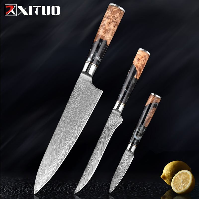 2-4 PCS Damascus Steel Kitchen Knives Chef Vegetable Slicing Deboning Black Resin Handle