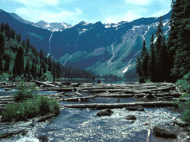 Avalanche Lake